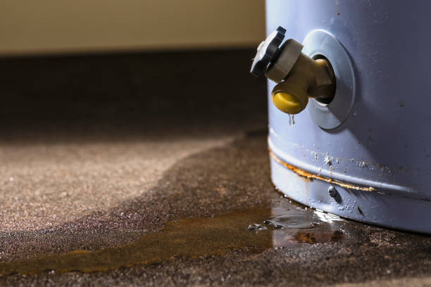 Best 24-hour water damage restoration  in Steele, MO