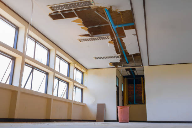 Best Flood damage cleanup  in Steele, MO