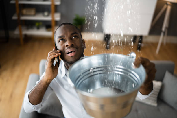 Best Flooded house restoration  in Steele, MO