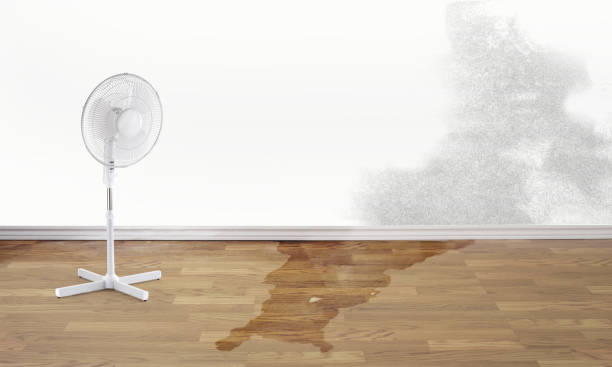 Best Commercial water damage restoration  in Steele, MO