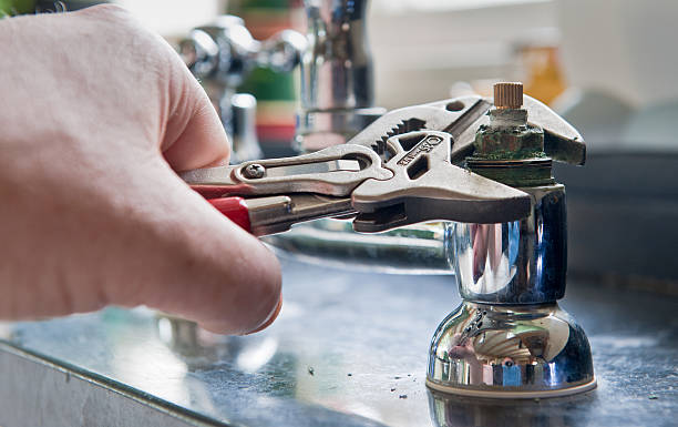 Best Water damage restoration mold remediation  in Steele, MO