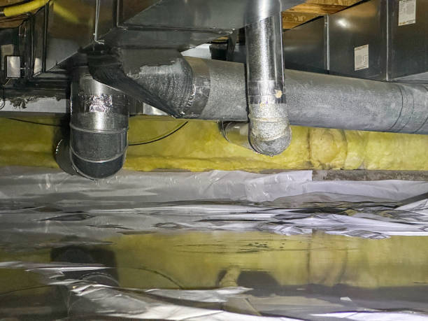 Best Fire Damage Restoration  in Steele, MO