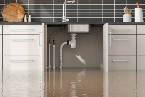  Steele, MO Water damage restoration Pros