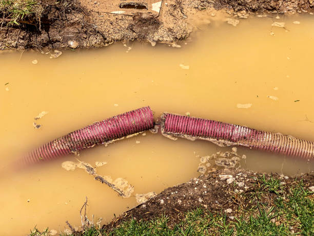  Steele, MO Water damage restoration Pros