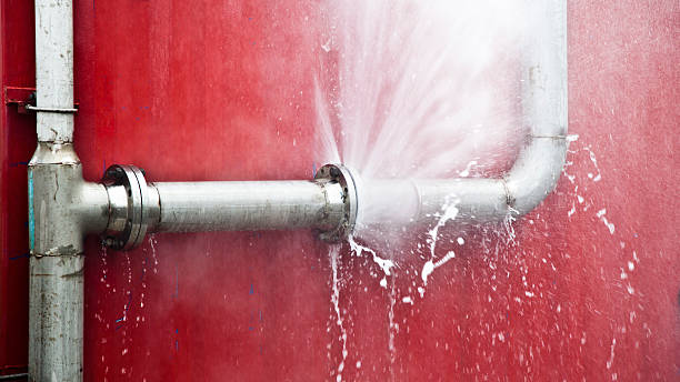Best Basement water damage restoration  in Steele, MO